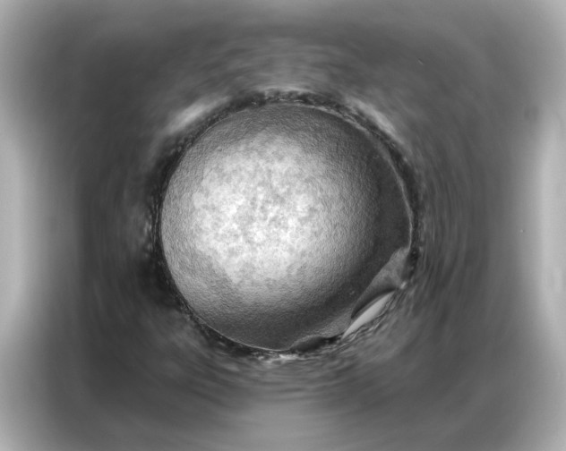 X0000086981303200704301309