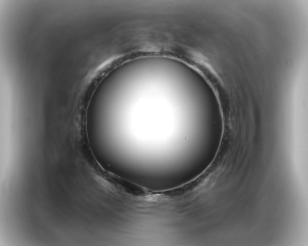 X0000086981304200704301309