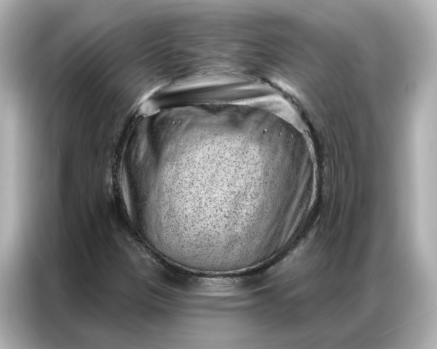 X0000086981305200704301309