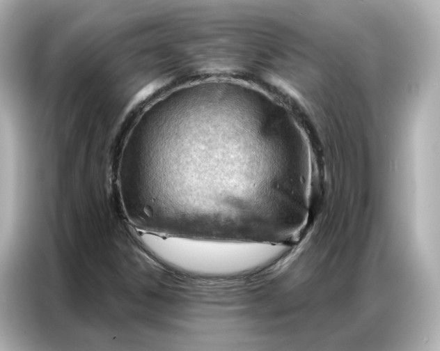 X0000086981306200704301309