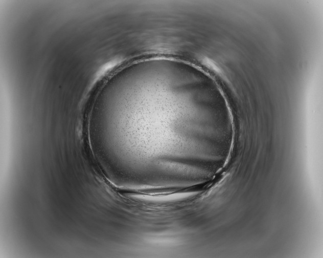 X0000086981307200704301309