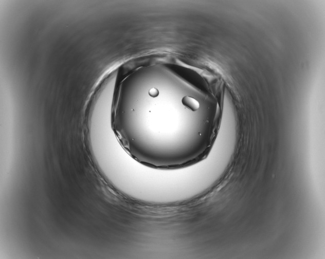 X0000086981308200704301309