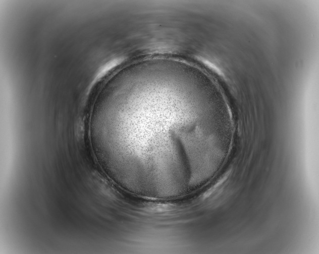 X0000086981309200704301309