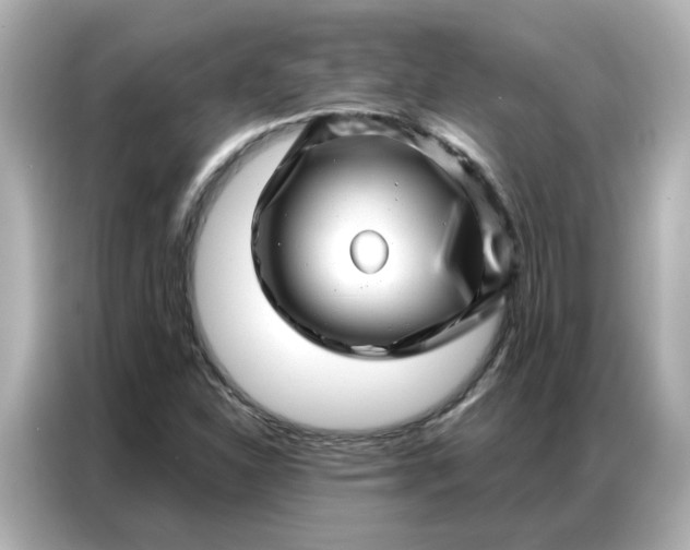 X0000086981310200704301309