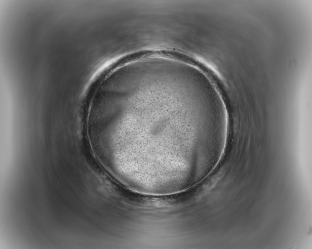 X0000086981311200704301309