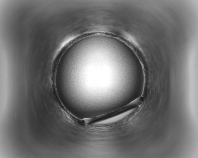 X0000086981312200704301309