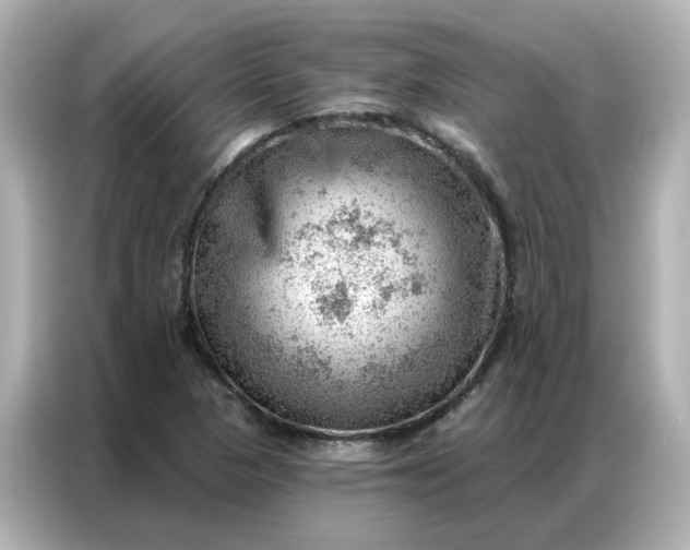 X0000086981313200704301309