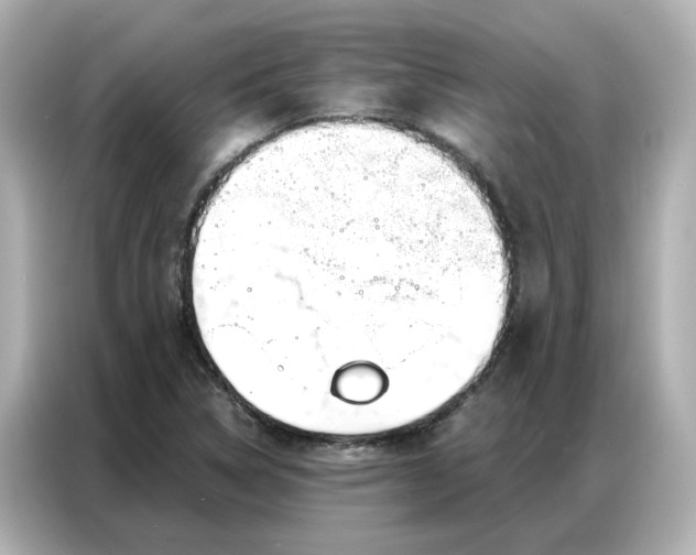 X0000086981314200704301309