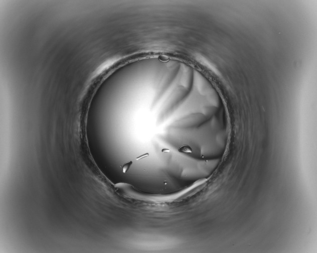 X0000086981315200704301310