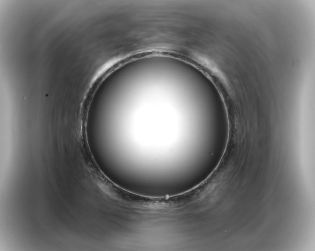 X0000086981316200704301310