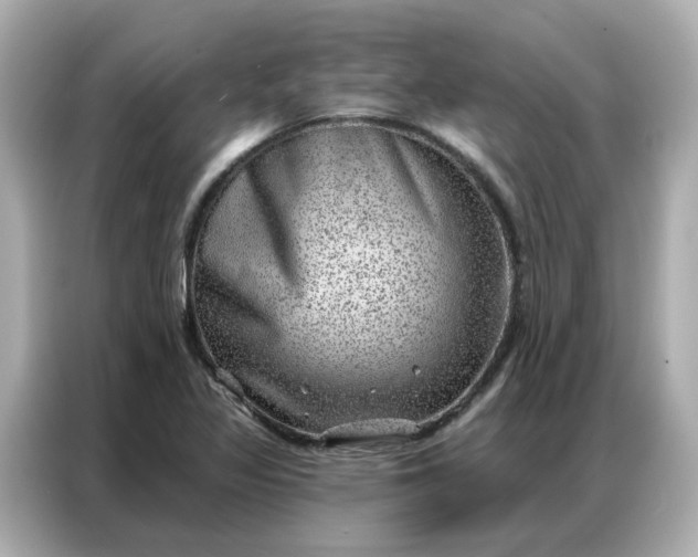 X0000086981317200704301310