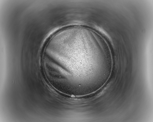 X0000086981318200704301310