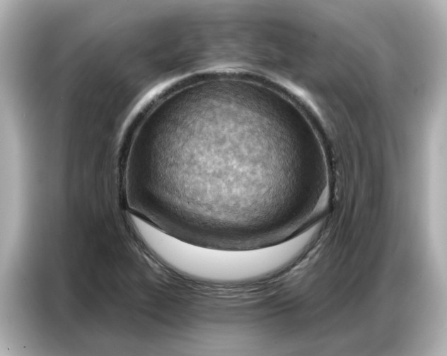 X0000086981319200704301310