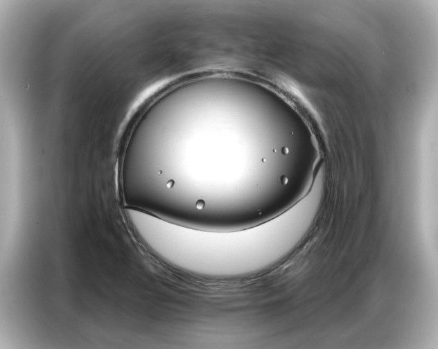 X0000086981320200704301310