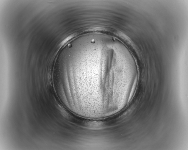 X0000086981321200704301310