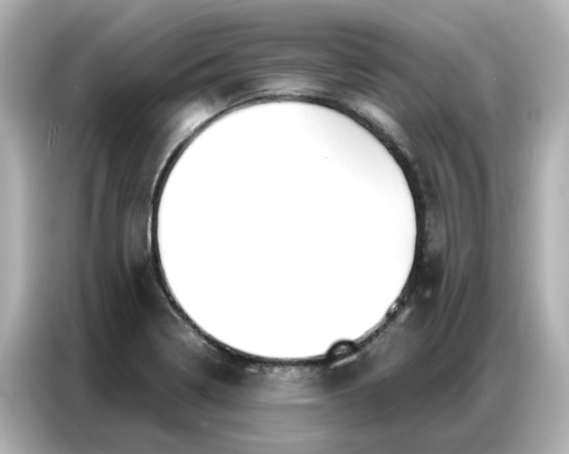 X0000086981322200704301310