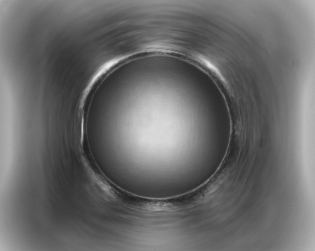 X0000086981323200704301310