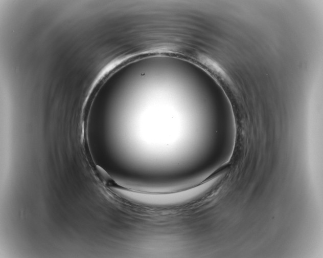 X0000086981324200704301310