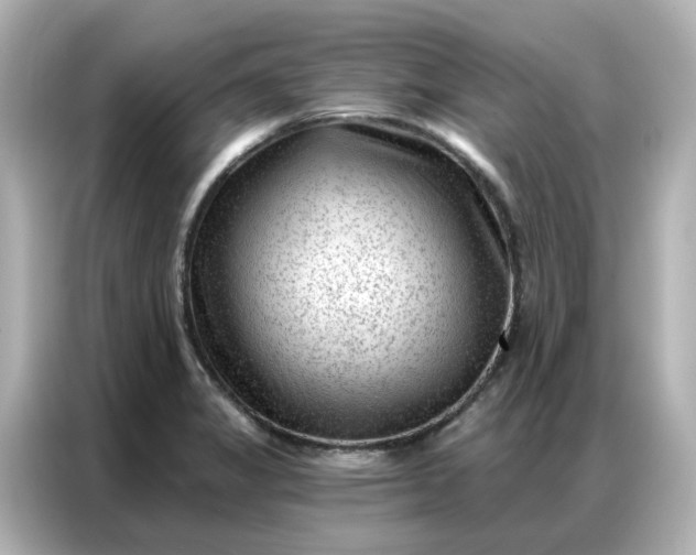 X0000086981325200704301310