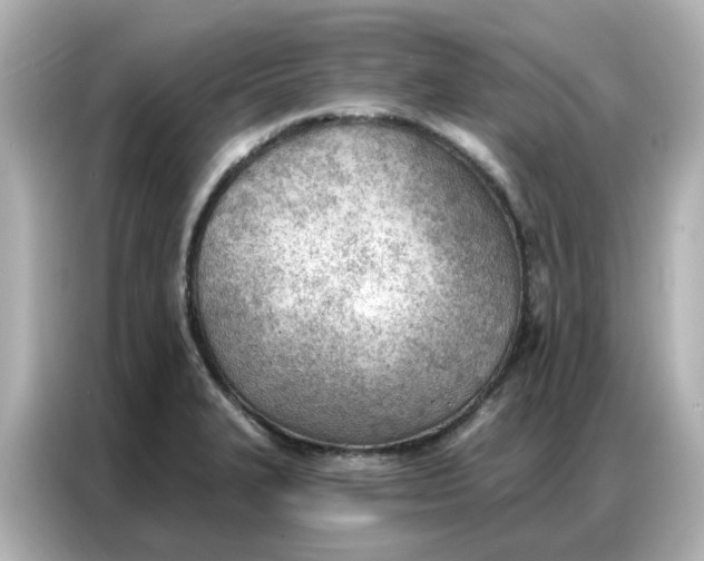 X0000086981327200704301310