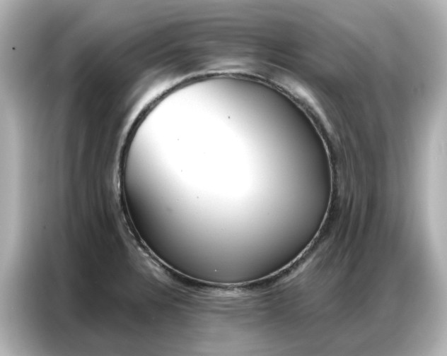 X0000086981328200704301310