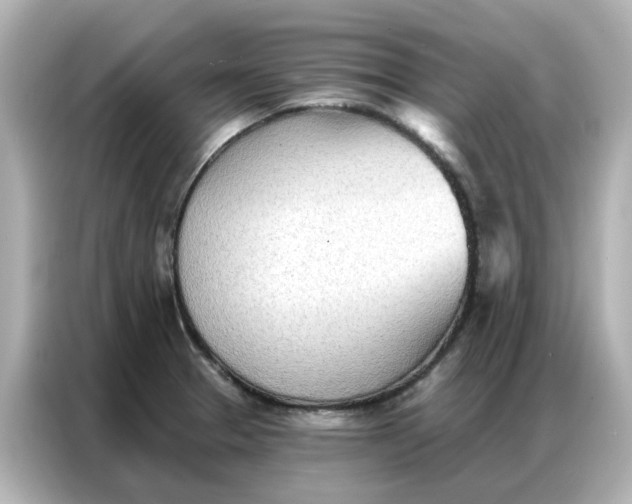 X0000086981329200704301310