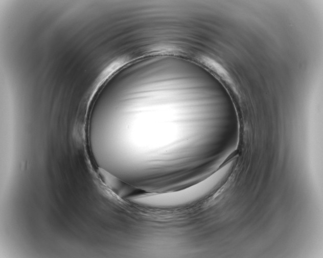 X0000086981330200704301310