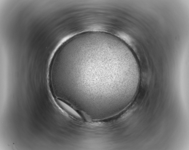 X0000086981331200704301310