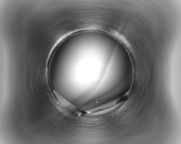 X0000086981332200704301310