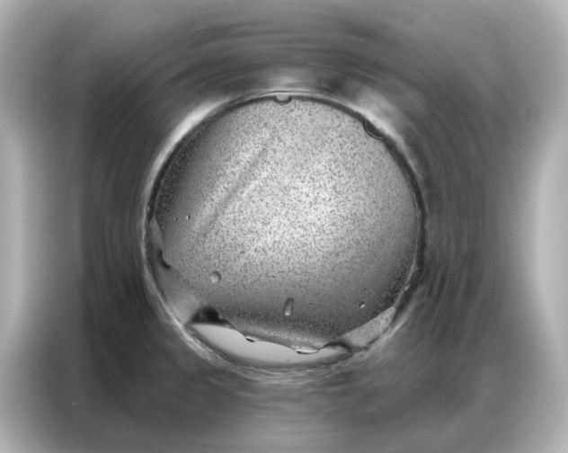 X0000086981333200704301310