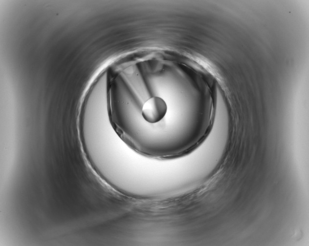 X0000086981334200704301310