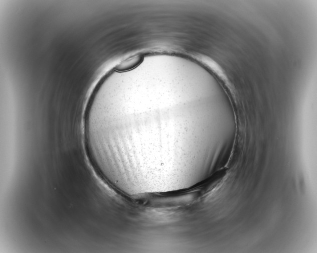 X0000086981335200704301310