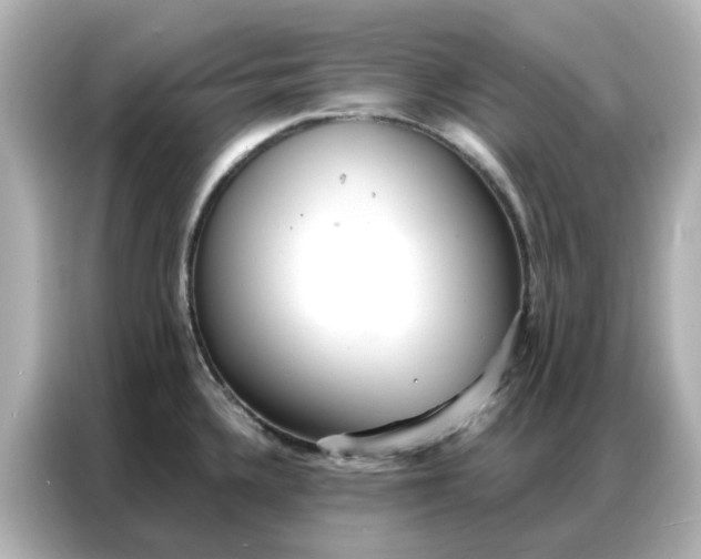 X0000086981336200704301310