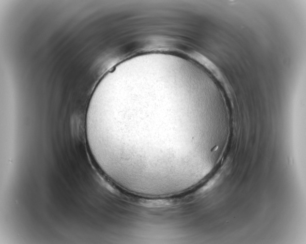 X0000086981337200704301310