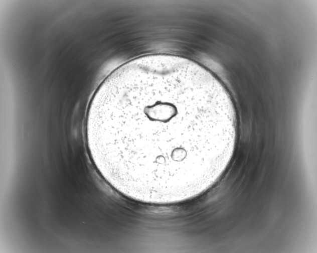 X0000086981338200704301310