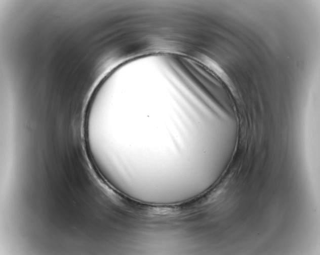 X0000086981339200704301310