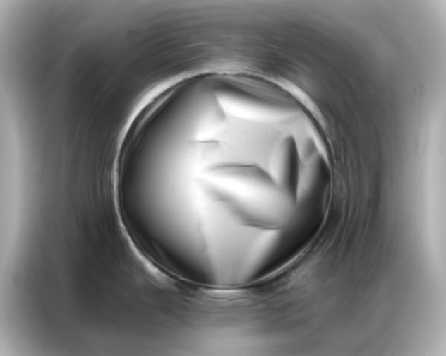 X0000086981343200704301310