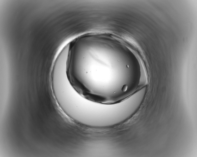 X0000086981344200704301310