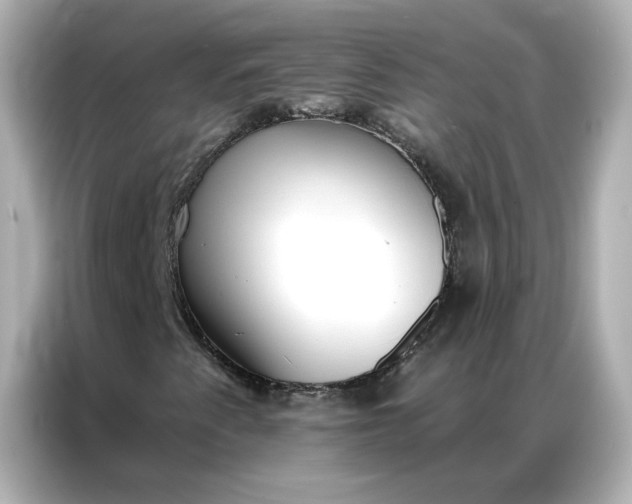 X0000086981345200704301309