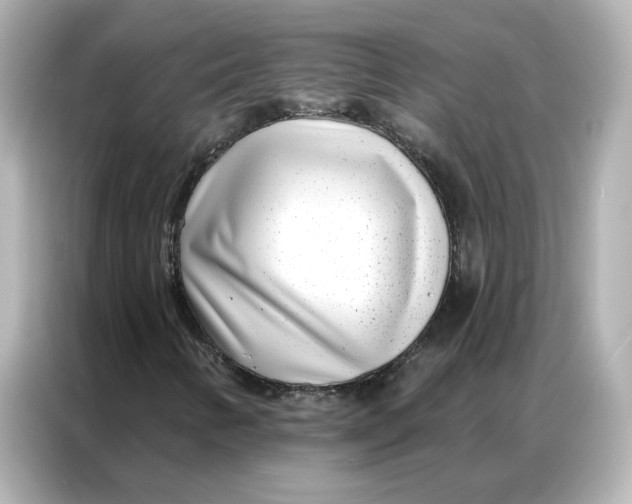 X0000086981346200704301309