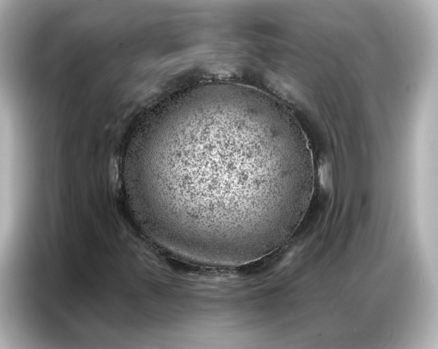 X0000086981347200704301309