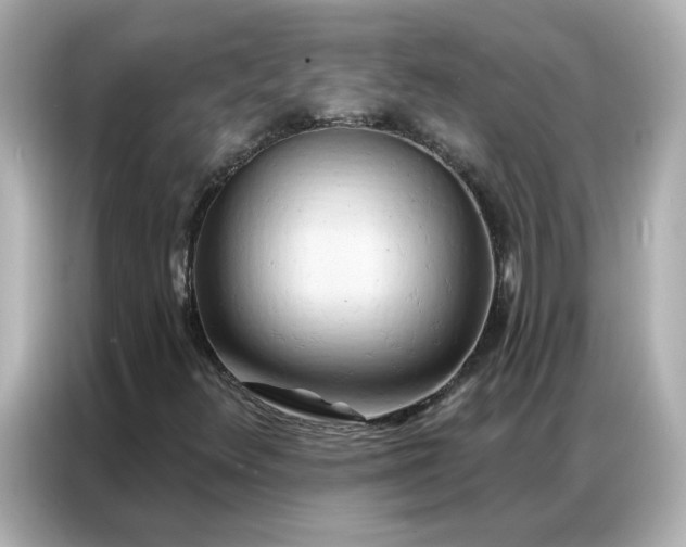 X0000086981348200704301309