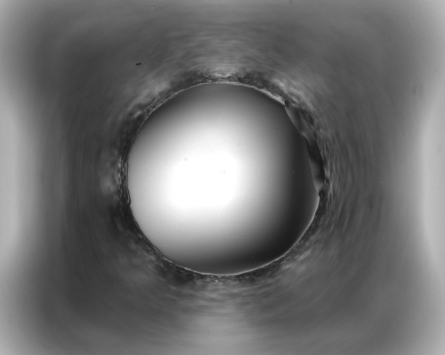 X0000086981349200704301309