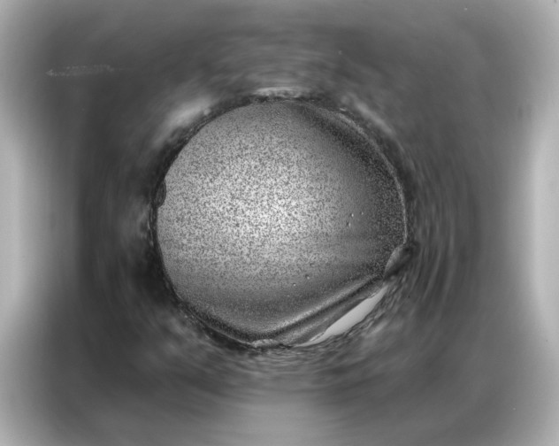 X0000086981351200704301309