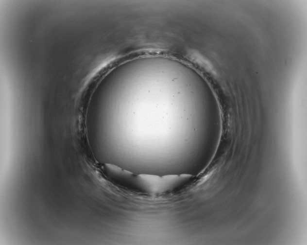 X0000086981352200704301309