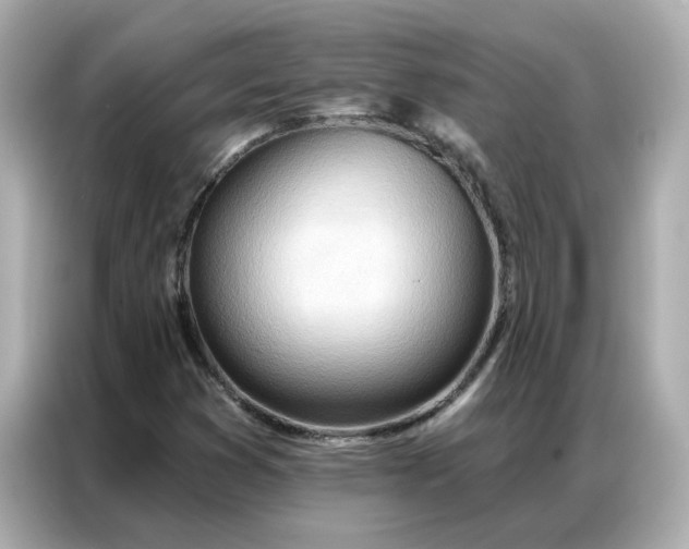 X0000086981353200704301309