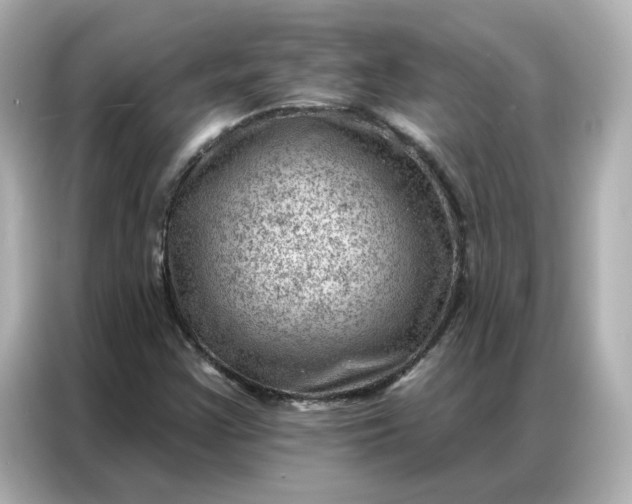 X0000086981355200704301309