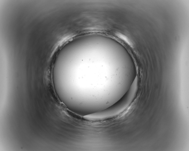 X0000086981357200704301309