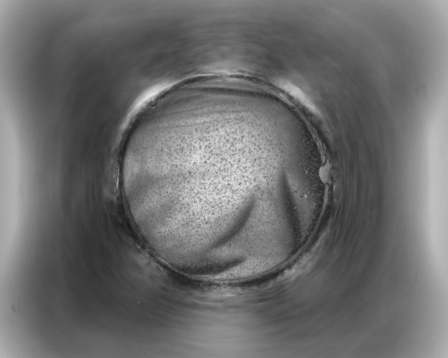 X0000086981358200704301309