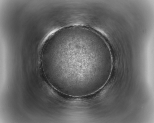 X0000086981359200704301309